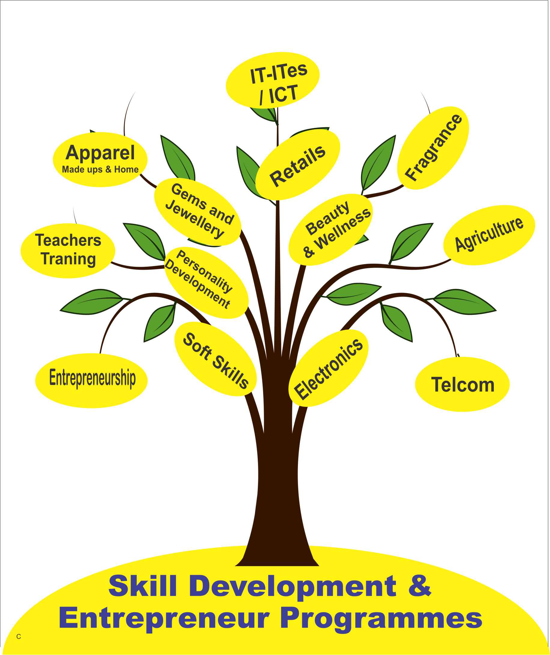 Skill Developement and Entrepreneur Programmes
